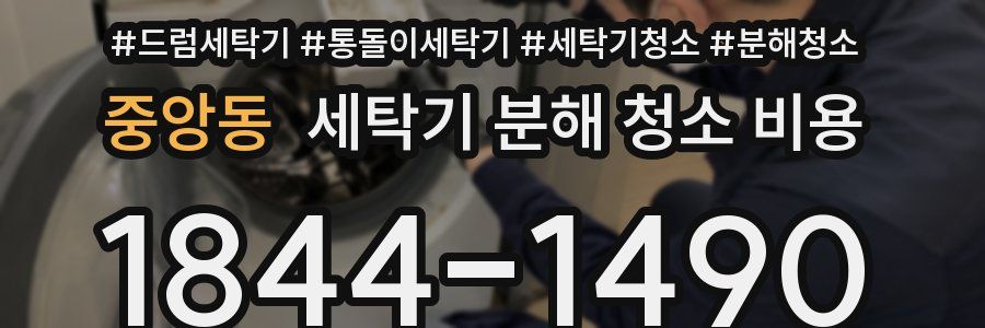 중앙동 세탁기 분해 청소 비용