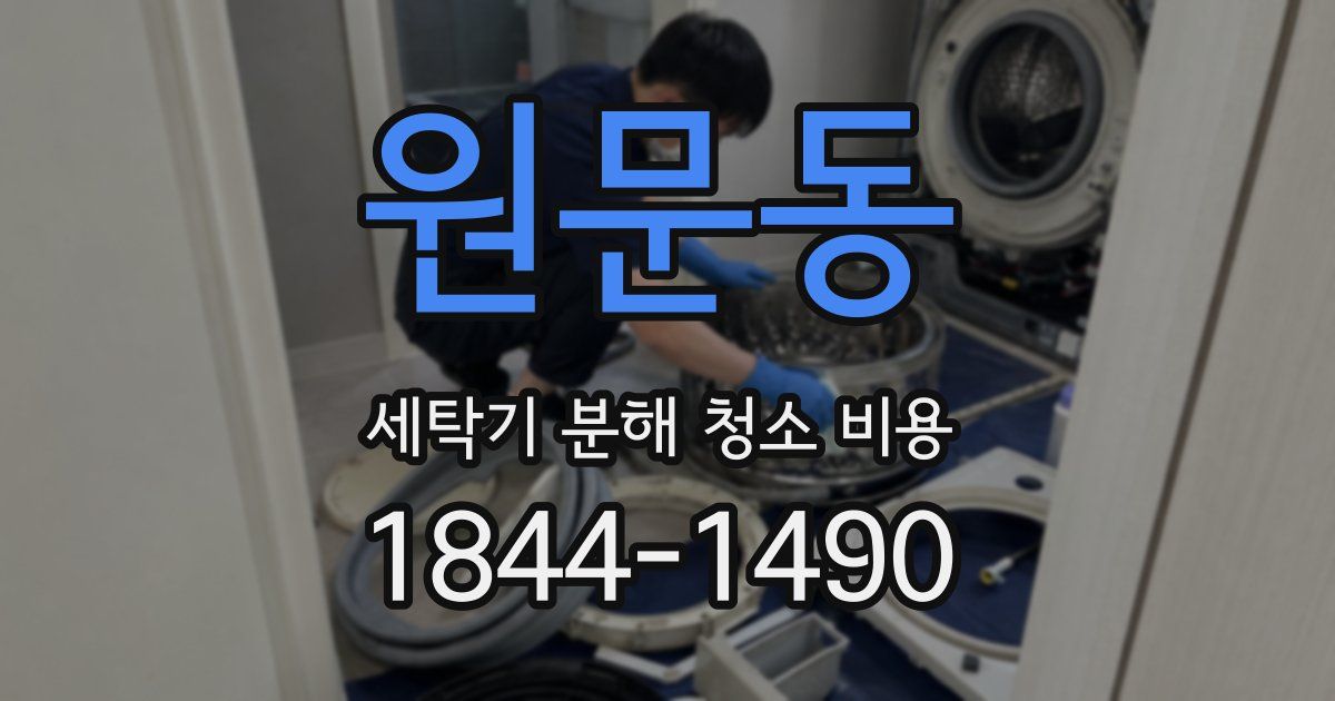 원문동 세탁기 분해 청소 비용