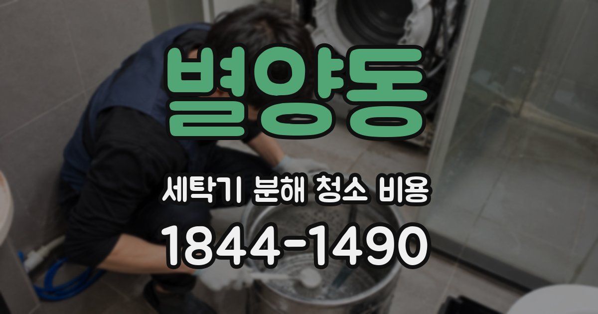 별양동 세탁기 분해 청소 비용