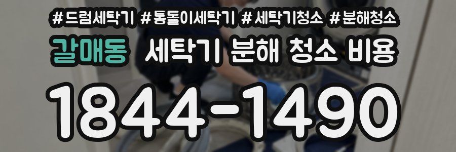갈매동 세탁기 분해 청소 비용