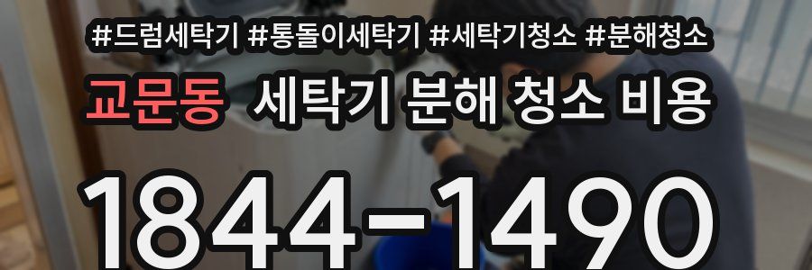 교문동 세탁기 분해 청소 비용