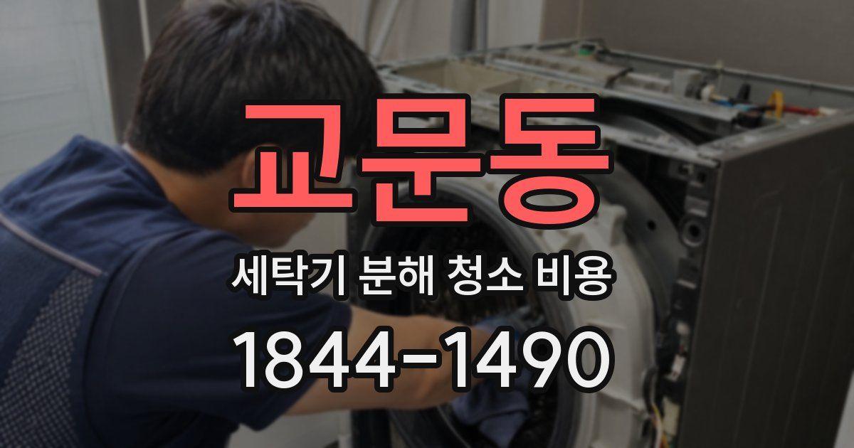 교문동 세탁기 분해 청소 비용
