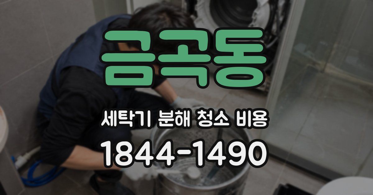 금곡동 세탁기 분해 청소 비용