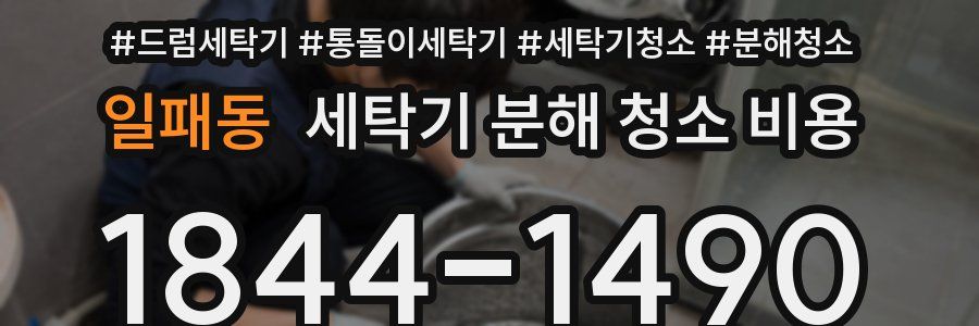 일패동 세탁기 분해 청소 비용