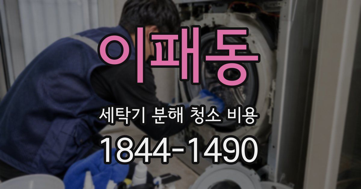 이패동 세탁기 분해 청소 비용