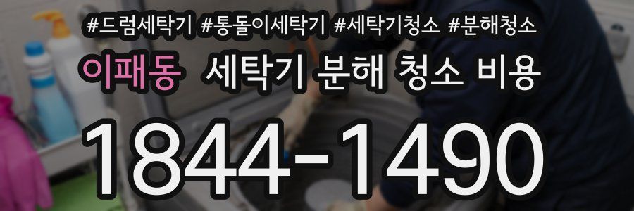이패동 세탁기 분해 청소 비용