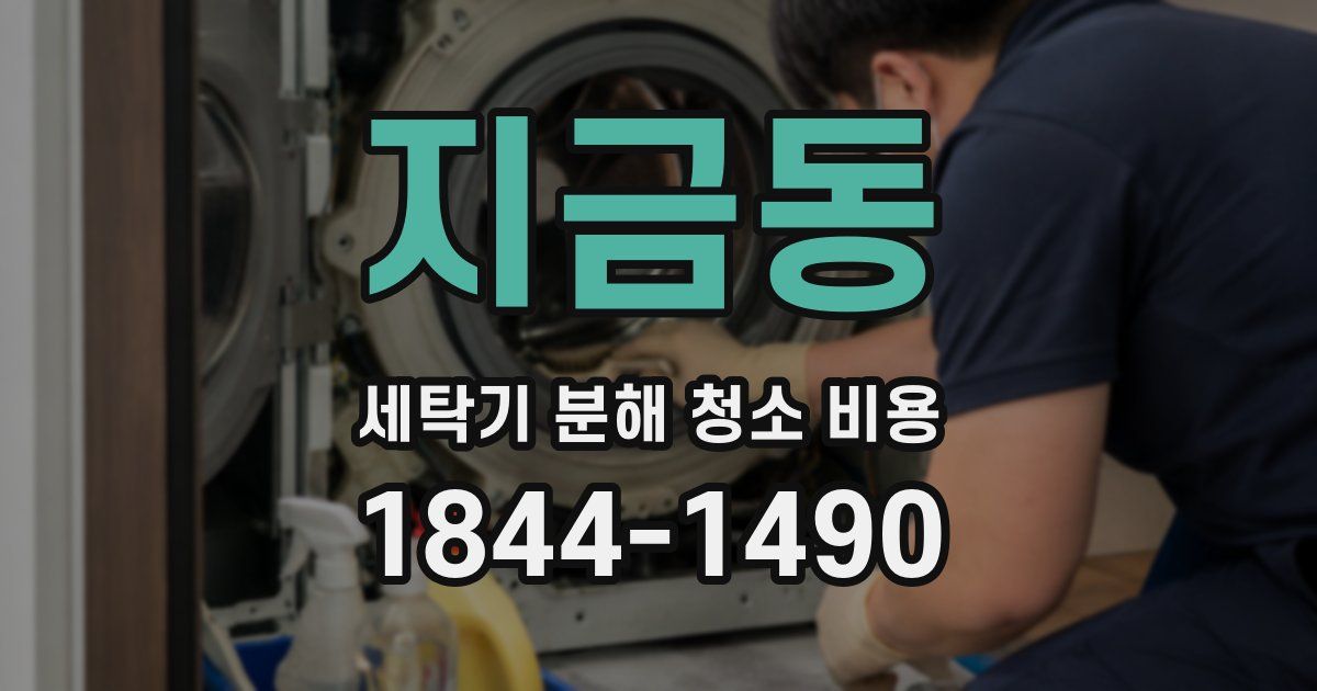 지금동 세탁기 분해 청소 비용