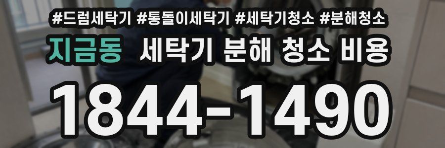 지금동 세탁기 분해 청소 비용