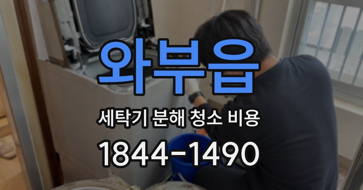 와부읍 세탁기 분해 청소 비용