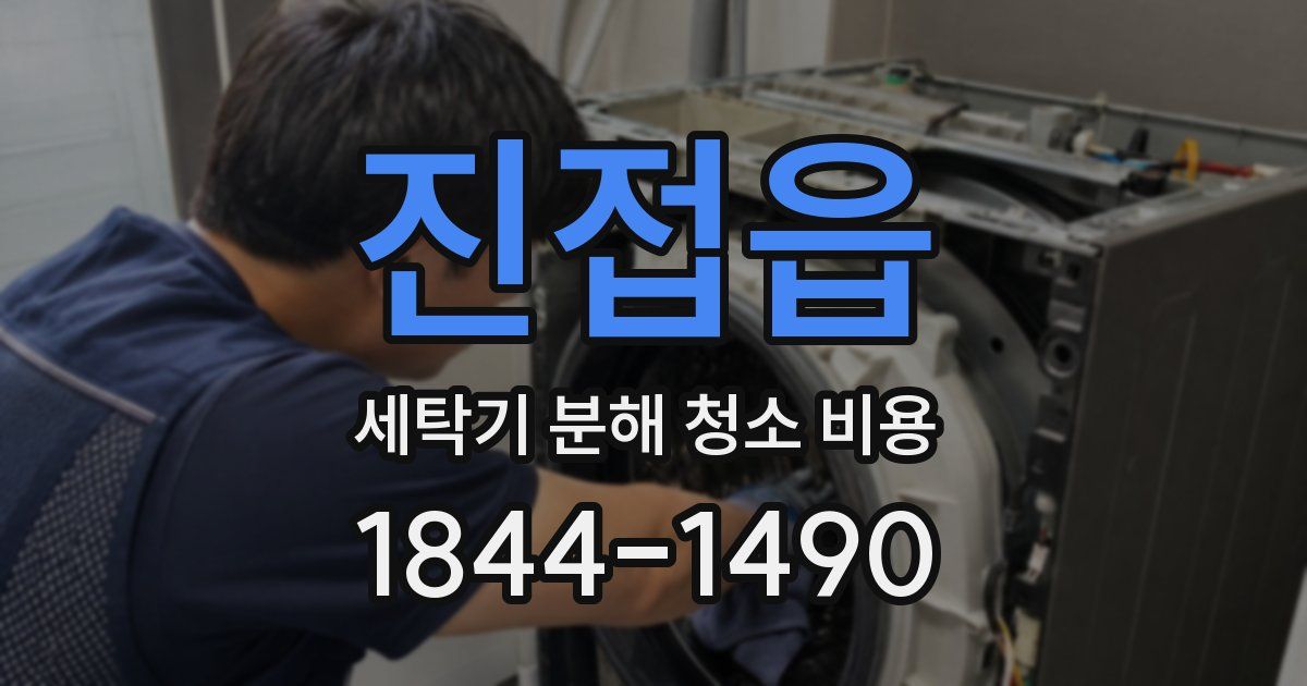 진접읍 세탁기 분해 청소 비용