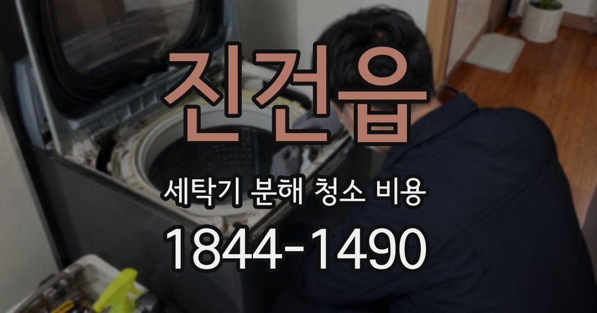 진건읍 세탁기 분해 청소 비용