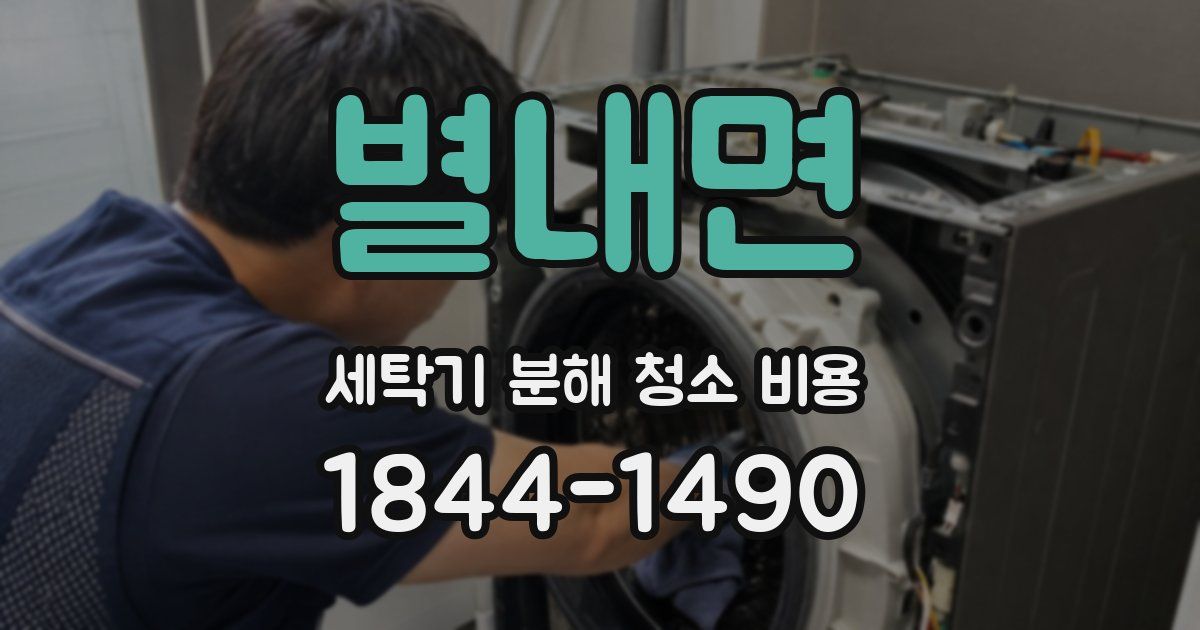 별내면 세탁기 분해 청소 비용