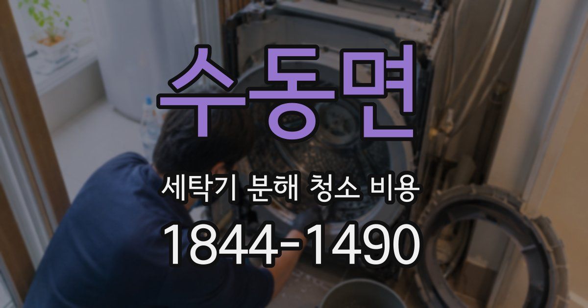 수동면 세탁기 분해 청소 비용
