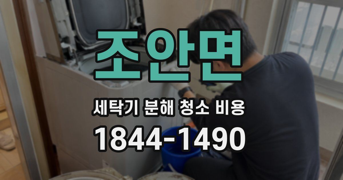 조안면 세탁기 분해 청소 비용