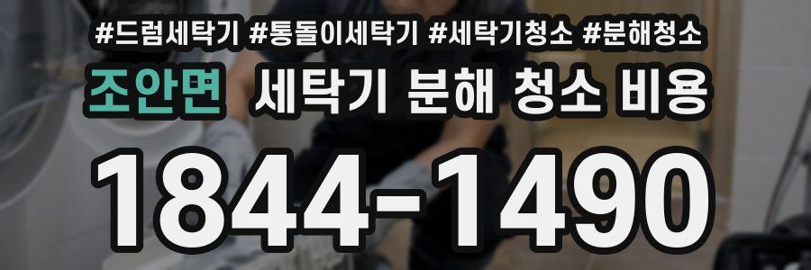 조안면 세탁기 분해 청소 비용