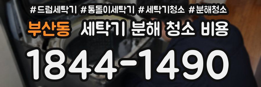 부산동 세탁기 분해 청소 비용