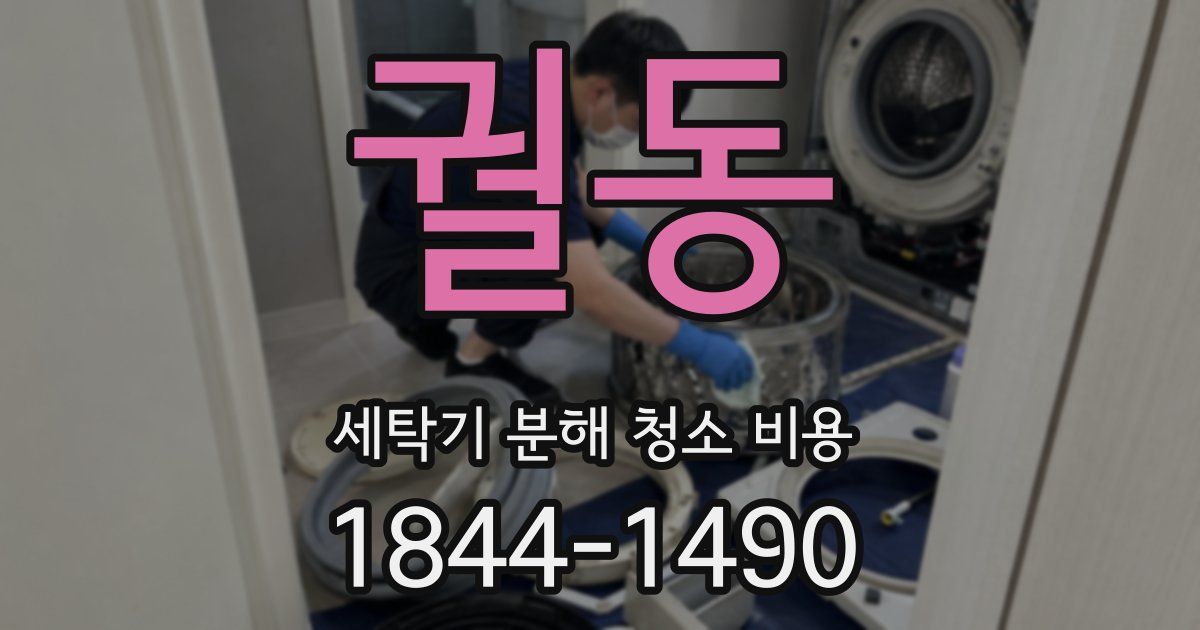 궐동 세탁기 분해 청소 비용