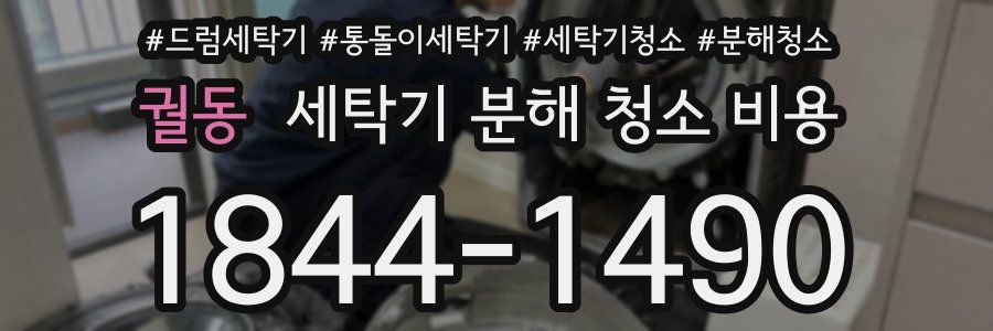 궐동 세탁기 분해 청소 비용