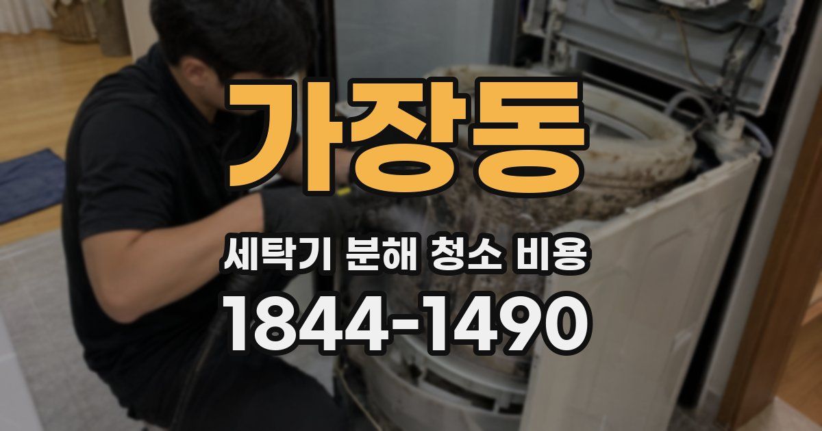 가장동 세탁기 분해 청소 비용