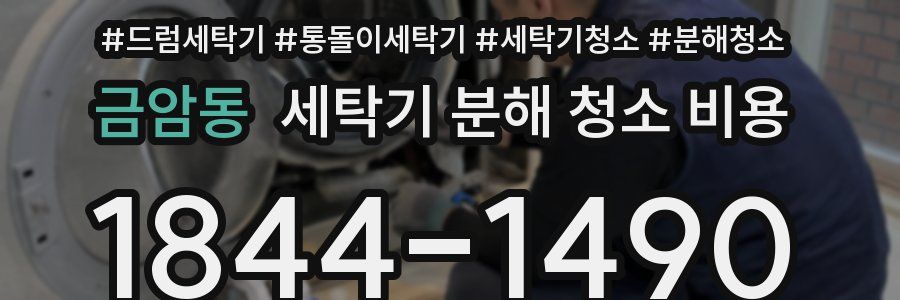 금암동 세탁기 분해 청소 비용