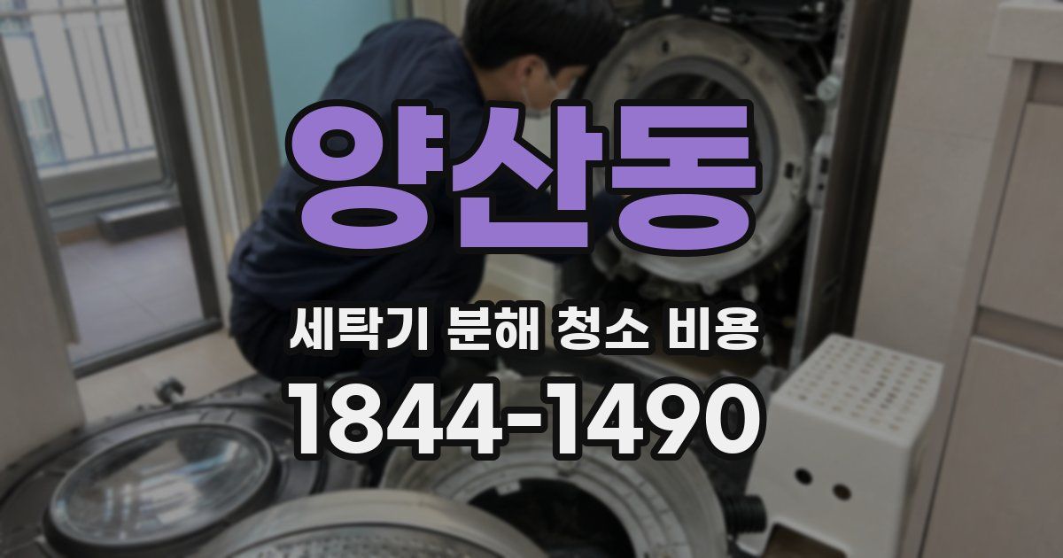 양산동 세탁기 분해 청소 비용
