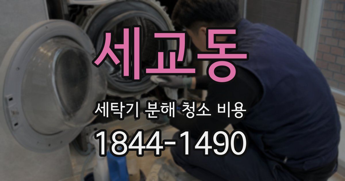 세교동 세탁기 분해 청소 비용