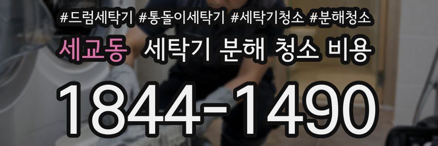세교동 세탁기 분해 청소 비용