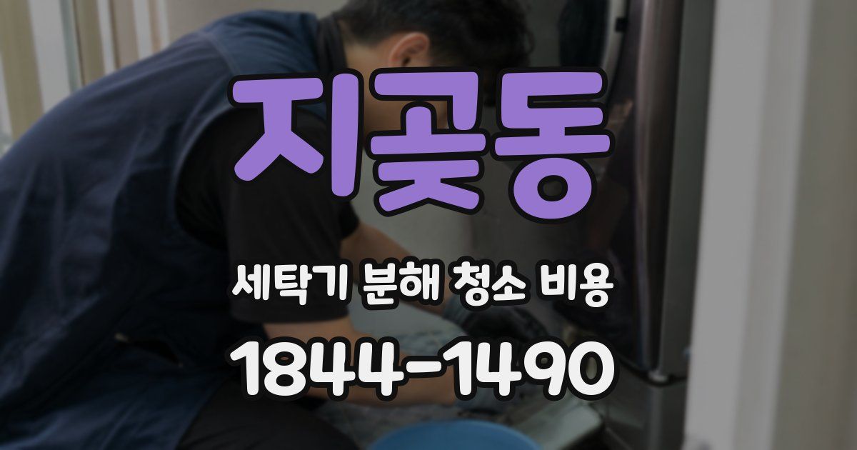 지곶동 세탁기 분해 청소 비용