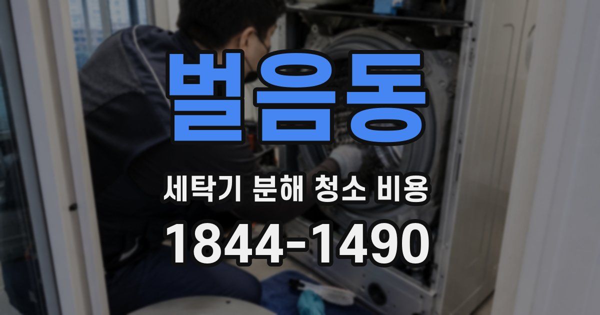 벌음동 세탁기 분해 청소 비용