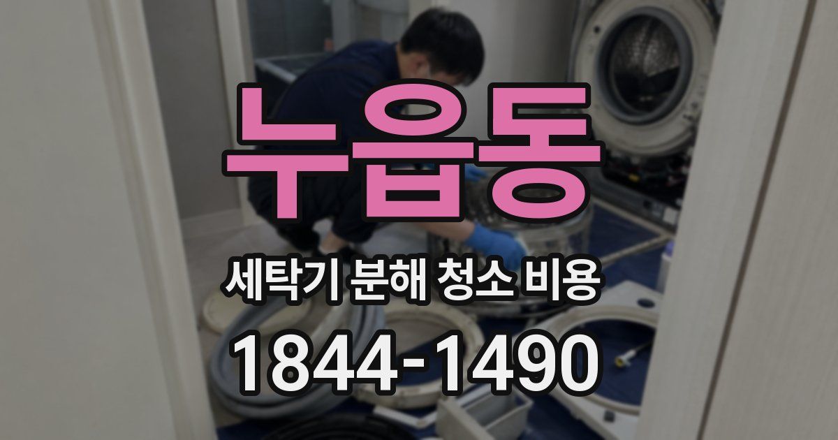 누읍동 세탁기 분해 청소 비용