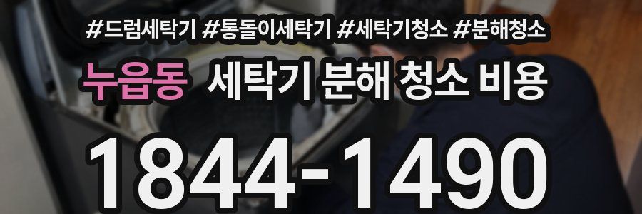 누읍동 세탁기 분해 청소 비용