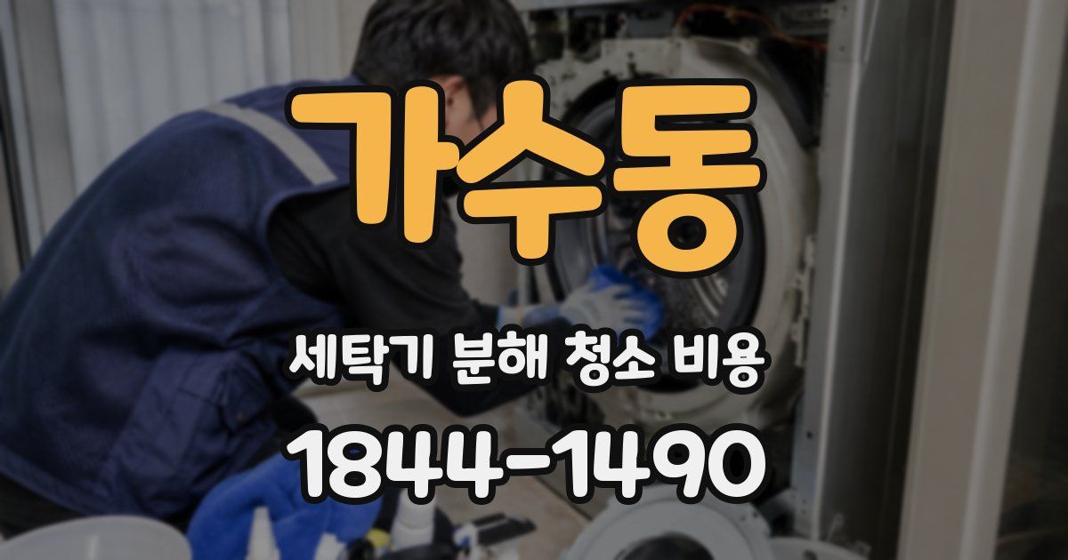 가수동 세탁기 분해 청소 비용