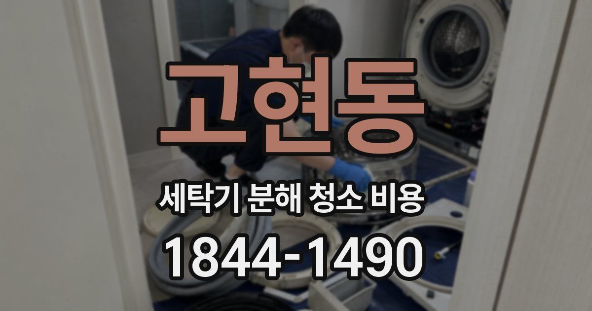 고현동 세탁기 분해 청소 비용