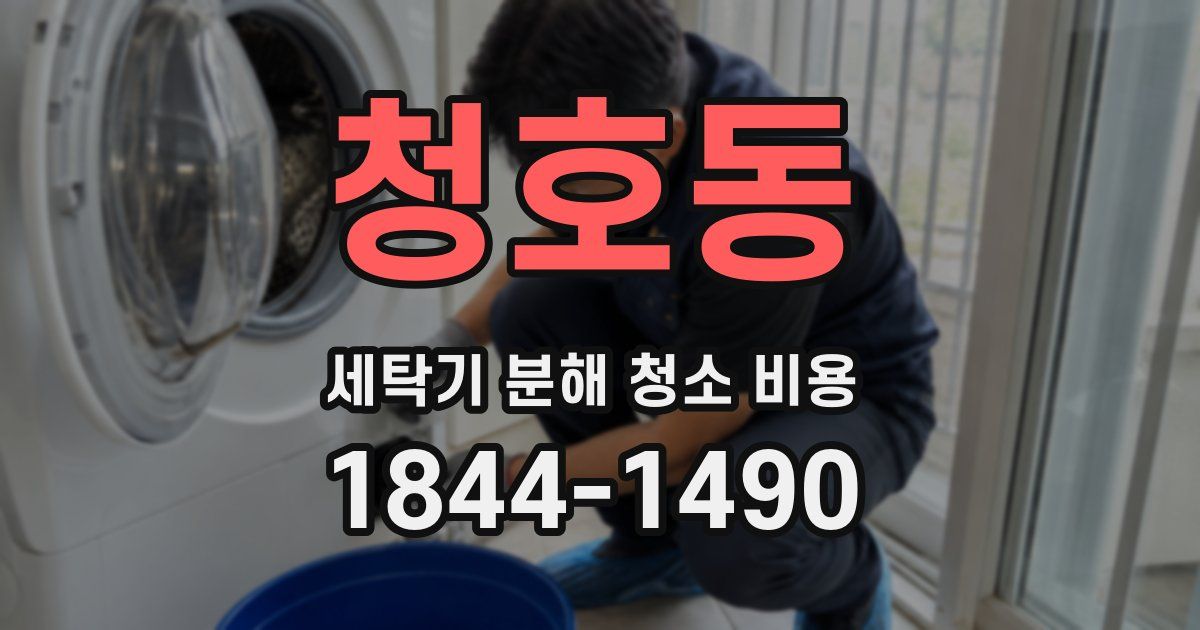 청호동 세탁기 분해 청소 비용