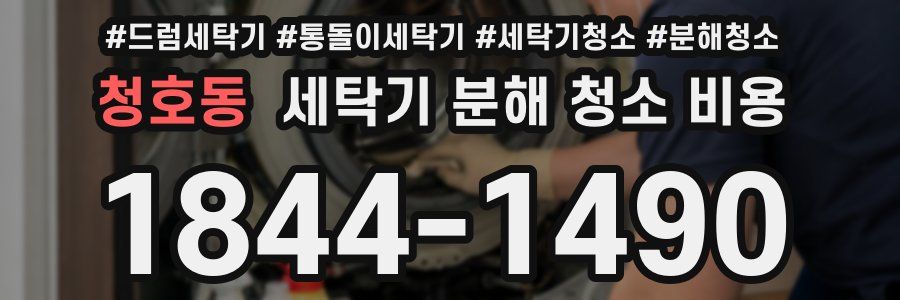 청호동 세탁기 분해 청소 비용