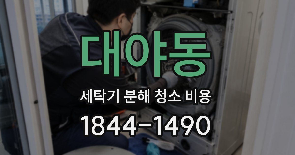 대야동 세탁기 분해 청소 비용