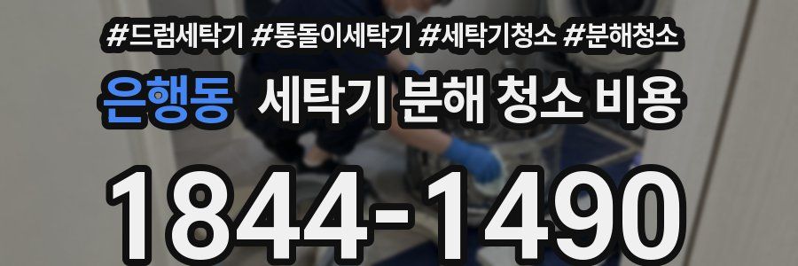 은행동 세탁기 분해 청소 비용