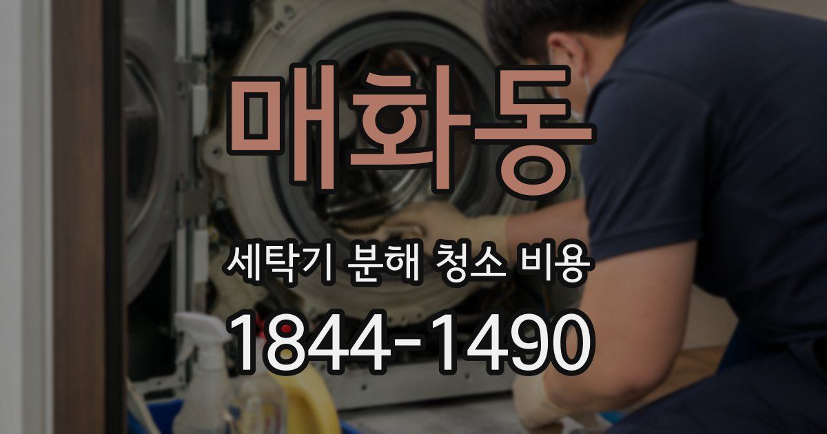 매화동 세탁기 분해 청소 비용