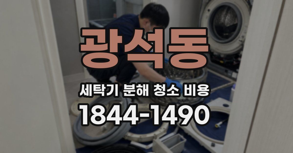 광석동 세탁기 분해 청소 비용