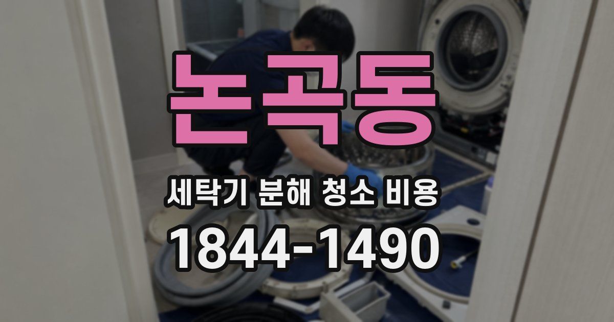 논곡동 세탁기 분해 청소 비용