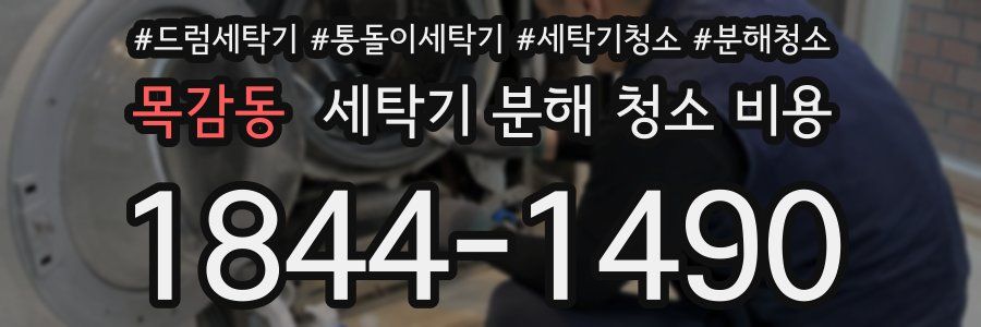목감동 세탁기 분해 청소 비용