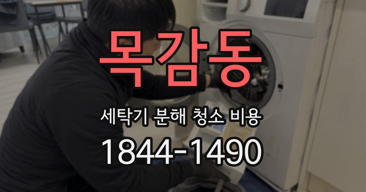 목감동 세탁기 분해 청소 비용