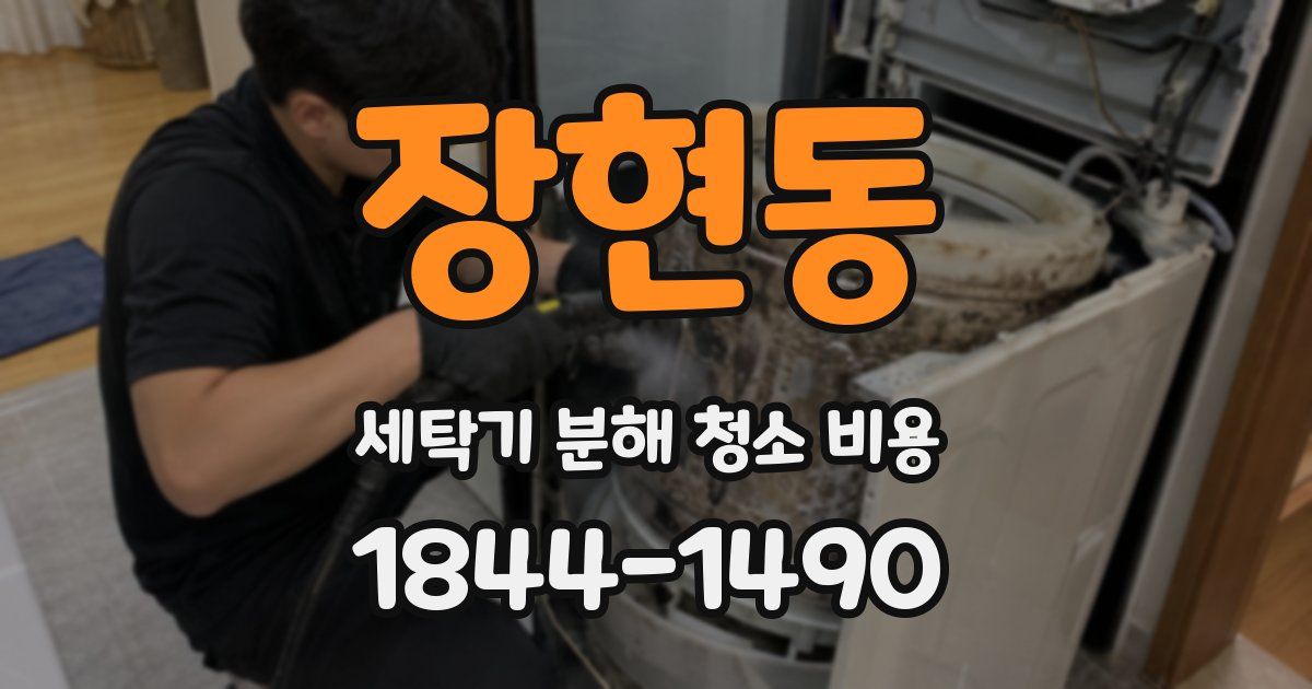 장현동 세탁기 분해 청소 비용