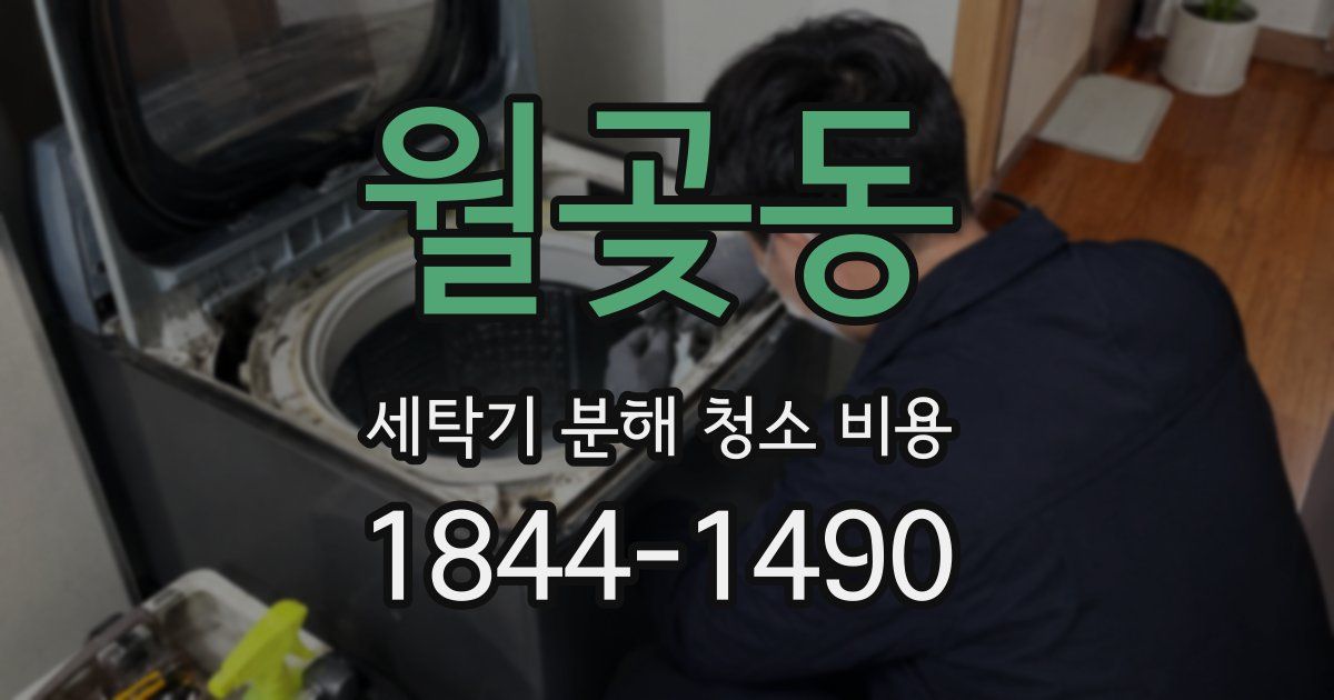 월곶동 세탁기 분해 청소 비용