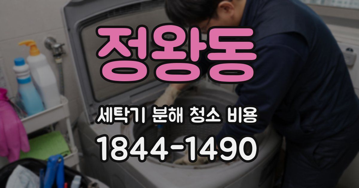 정왕동 세탁기 분해 청소 비용