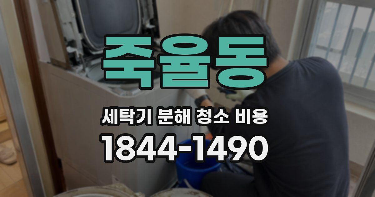 죽율동 세탁기 분해 청소 비용