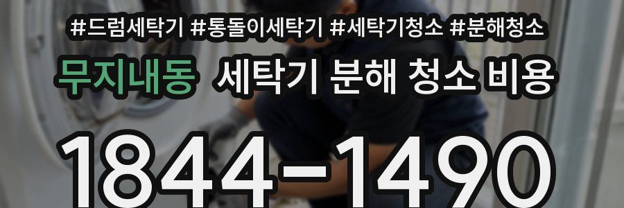 무지내동 세탁기 분해 청소 비용