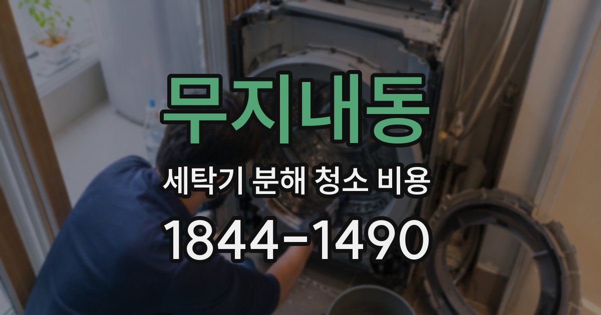 무지내동 세탁기 분해 청소 비용