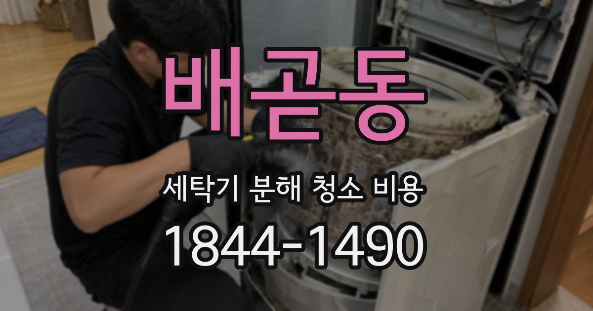 배곧동 세탁기 분해 청소 비용
