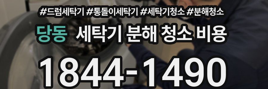 당동 세탁기 분해 청소 비용